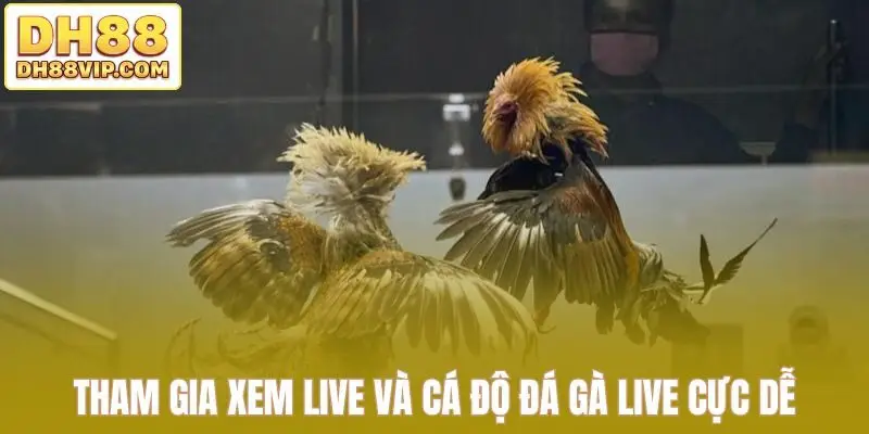 Live Đá Gà Thomo Sắc Nét - Những Trận Đấu Kịch Tính Tại DH88 - ovixo.vip