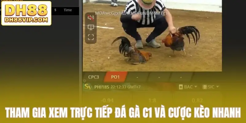 Trực Tiếp Đá Gà C1 Tái Hiện Trọn Vẹn Đấu Trường Lớn Tại DH88 - ovixo.vip