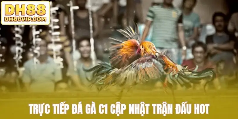 Trực Tiếp Đá Gà C1 Tái Hiện Trọn Vẹn Đấu Trường Lớn Tại DH88 - ovixo.vip